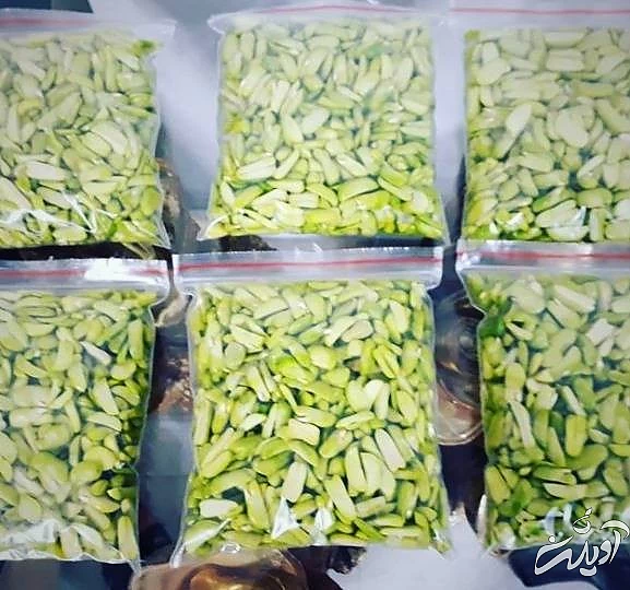 نحوه صحیح فریز کردن باقلا سبز و مدت زمان نگهداری آن فریز کردن باقلا سبز